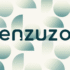 10% OFF Enzuzo Exclusive Coupon